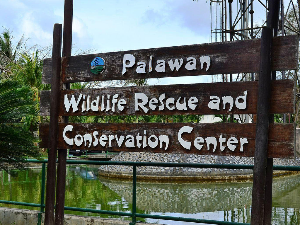 PPS: Half-day City Tour – Corazon Travel and Tours
